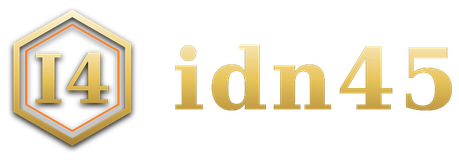 idn45 logo